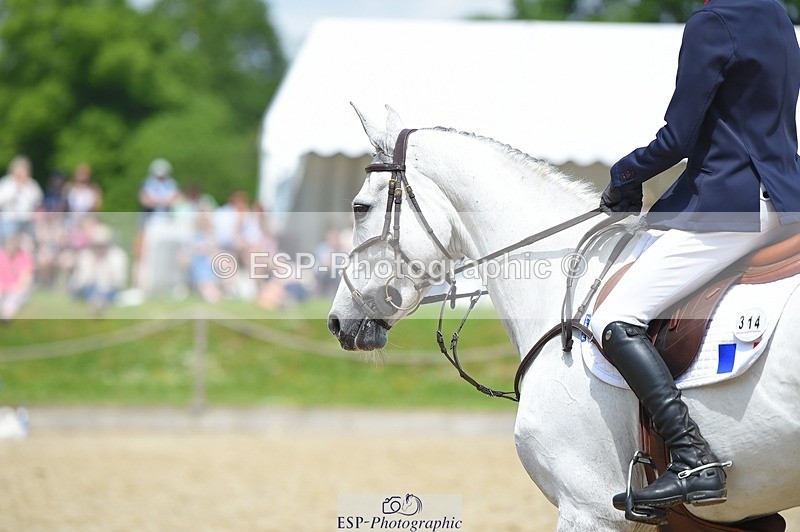 230528-125904-15939 - 314-CHANTILLY_AMATULLAH-Gaspard_Maksud-SUNTrotUp+SJ