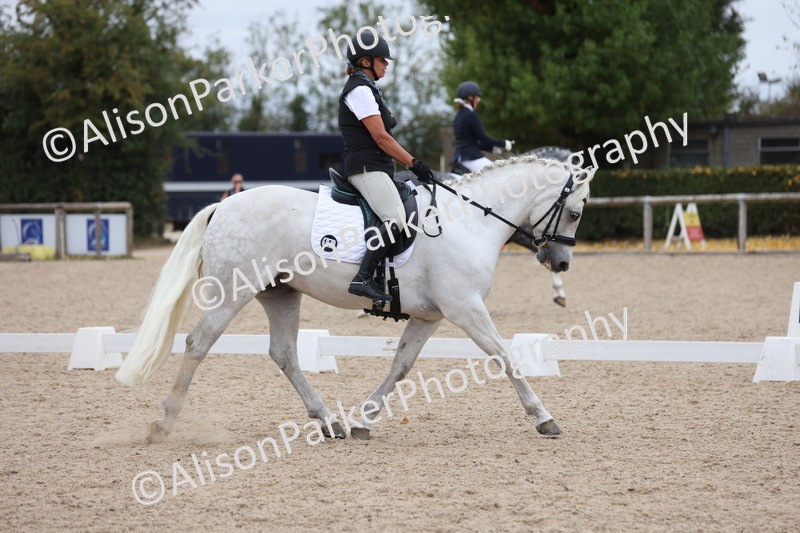 20250820-0995 - Class 16 - Novice 5