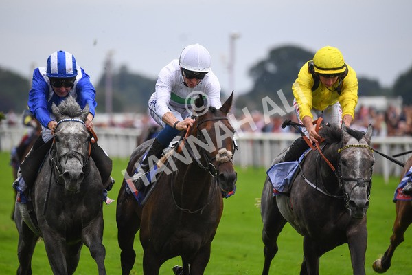 yr21082021r2-19 - Race 2 2.25pm Sky Bet Melrose Stakes