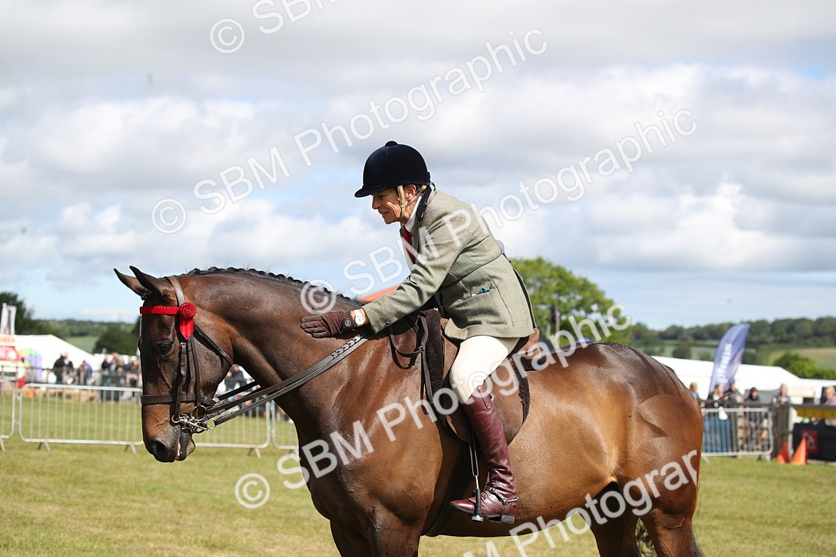 SBM_13328 - Class 95-96 - LIHS BSHA Rising Star Hack Riding Horse