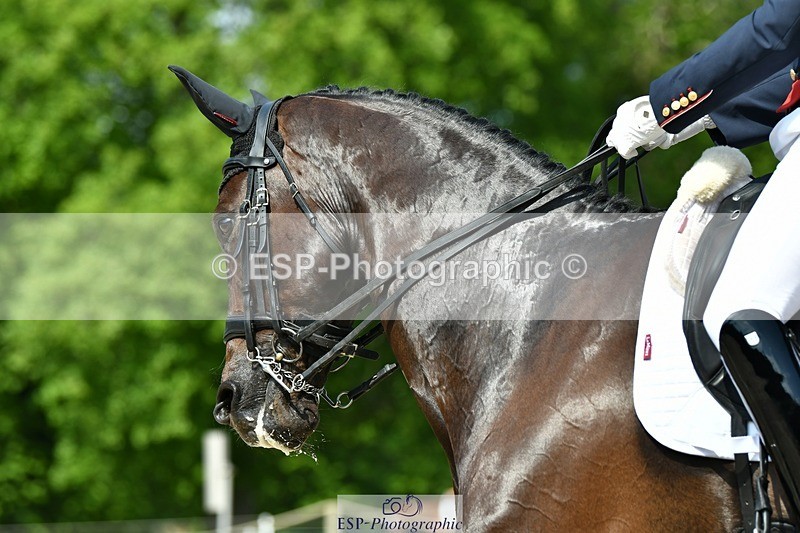 230525-104443-03965 - 415-MHS_BROWN_JACK-Tom_McEwen-DR