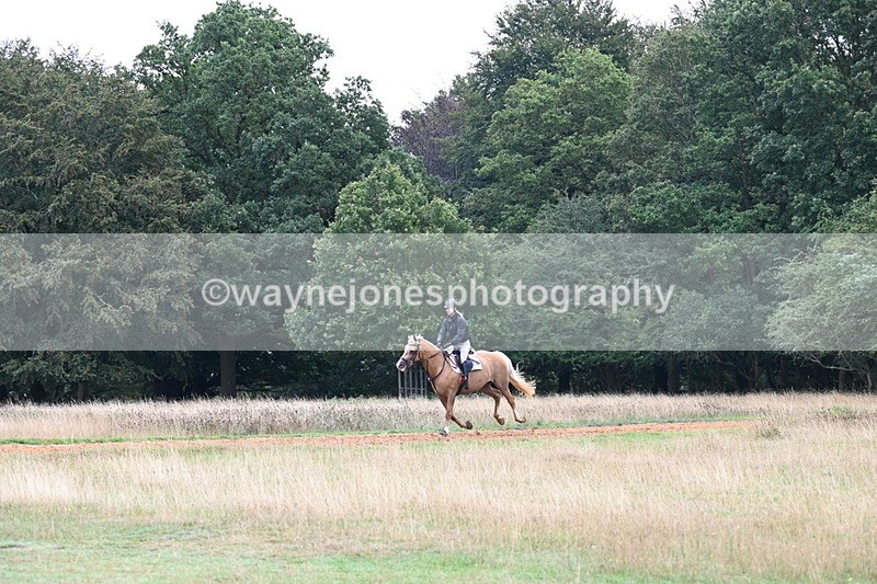 DSC_2456 - Time at Statue 12:34 to 12:56