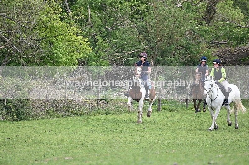 WJ6_3545 - Group 8 A camera ?