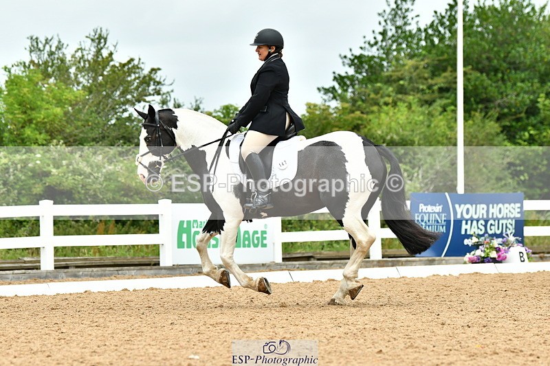 230702A-113326-08741 - Cls 26 Novice 37A