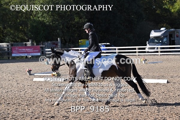BPP_9185 - LONG ARENA