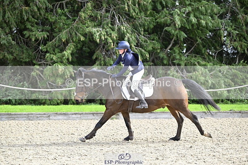 251005A-124153-03891 - Cls 08 Mini 70-75cm