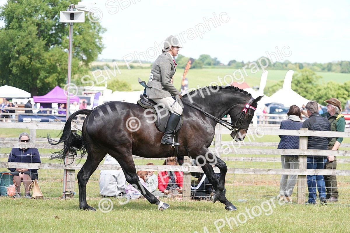 SBM_16301 - Class 105-106 - RIHS Riding Horses