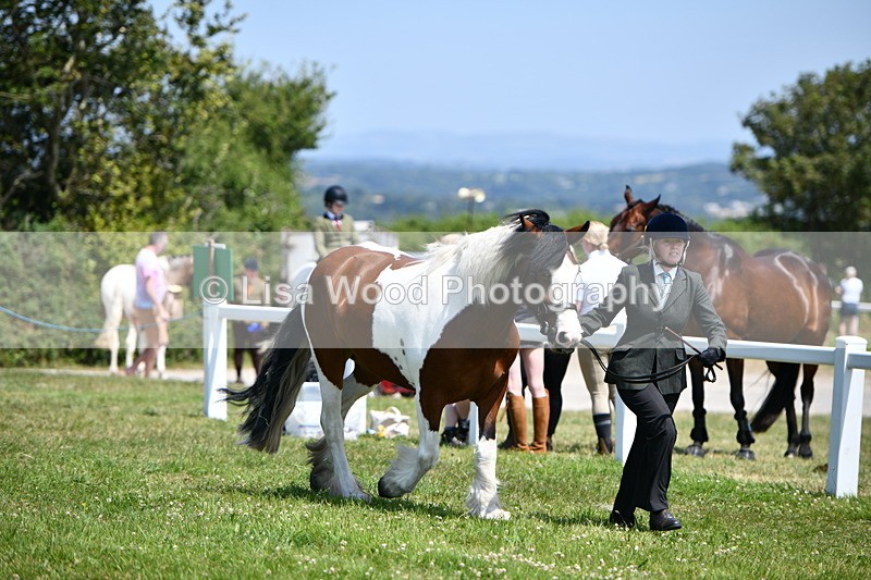DSC_7560 - Class 64: Coloured Pony 4yrs & over