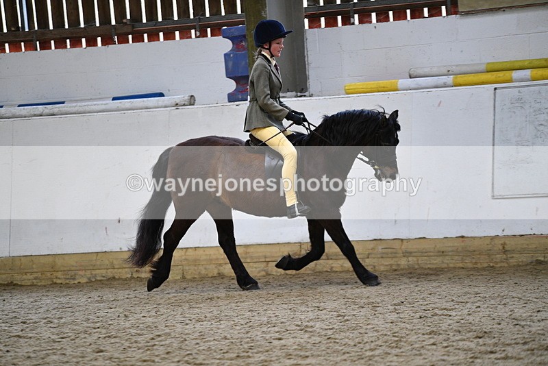 WJ5_6931 - Class 10 Childs Pony