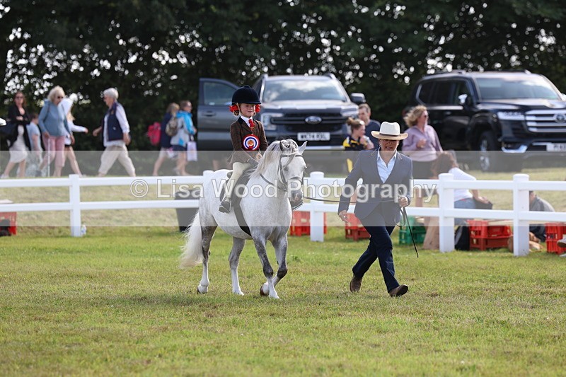 3E7A3936 - Supreme Championship