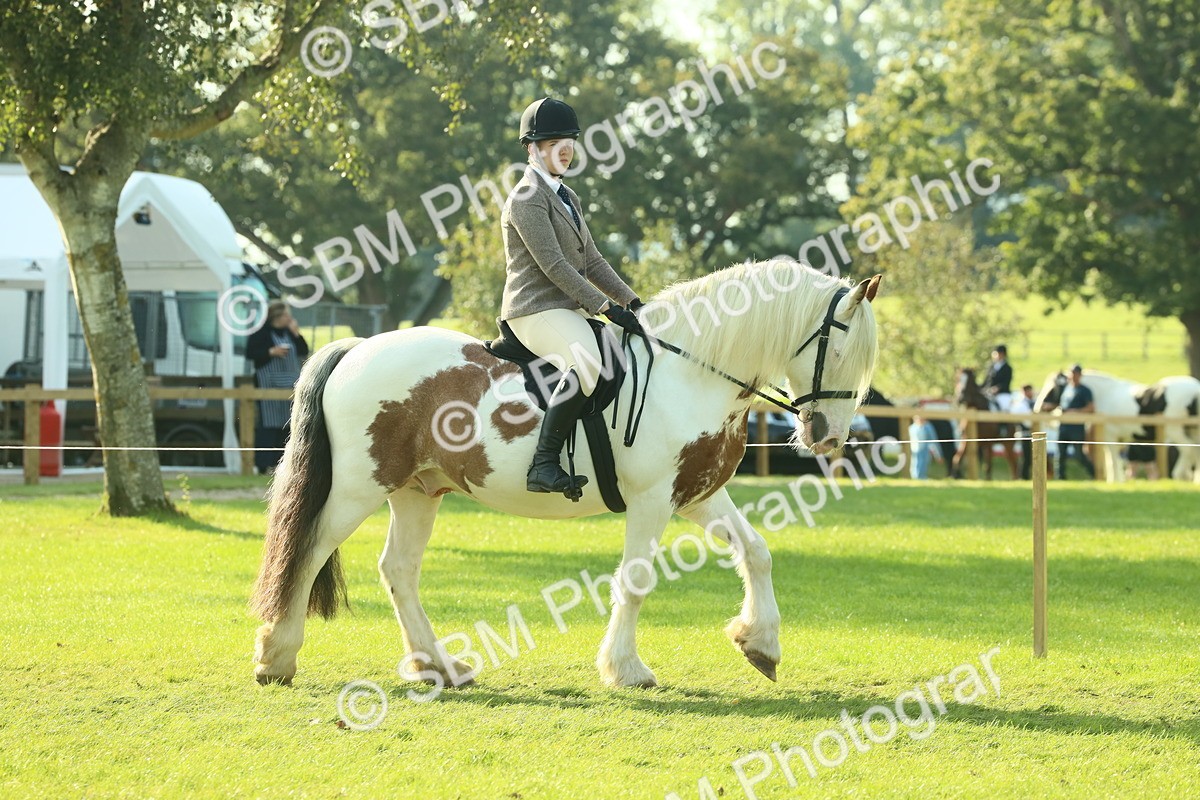 SBM_59311 - S38 - Starters Ridden Showing