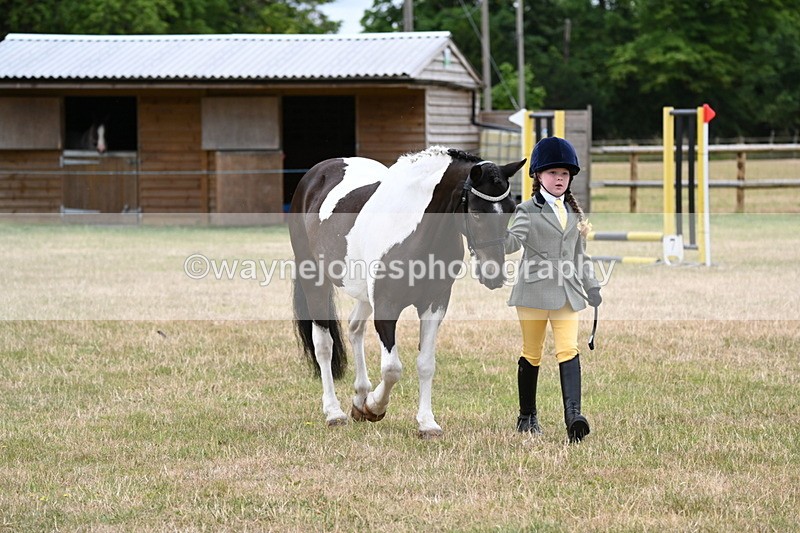WJ6_4346 - Class 10 Coloured In-hand