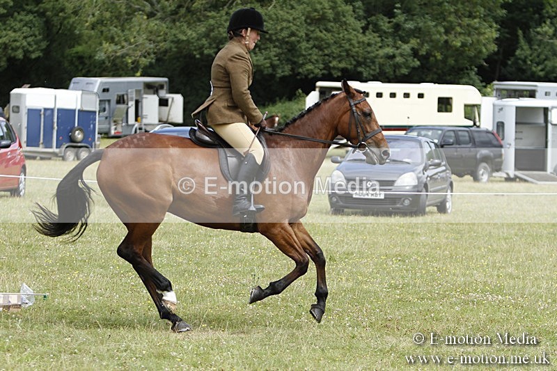 BVR160717-1805 - Ring 3 BVRC Show 16/07/17