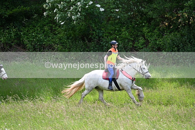 WJ7_8784 - Group 4 11am