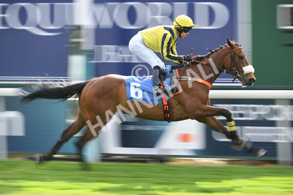 yr12052022r7-16 - Race 7 5.15pm Fidomoney Stakes