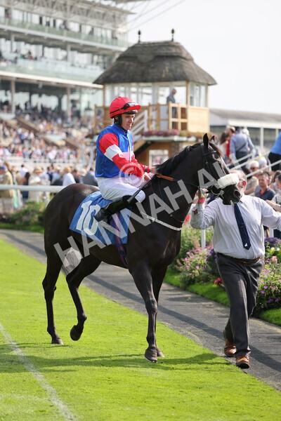 yr05092021r2-14 - Race 2 2.40pm John and Judith Marshall Memorial Stakes