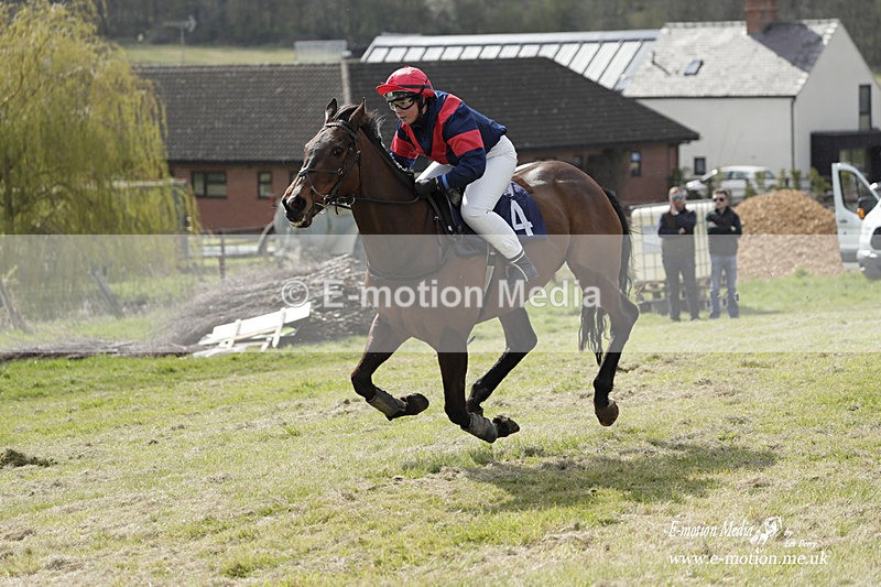 PtP 080423 249 - Dingley Races The Woodland Pytchley Hunt PtP 08/04/23