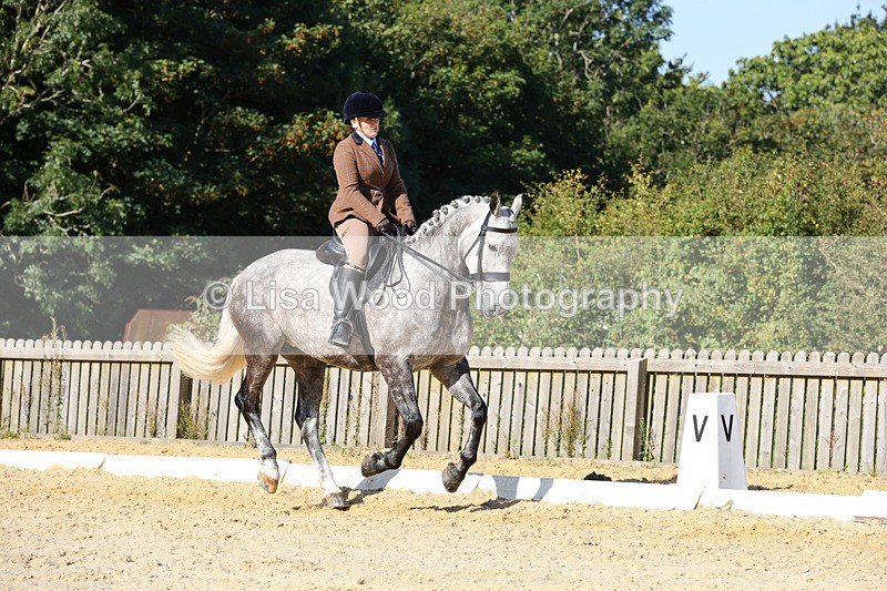 1X9A7733 - Class 9: Open Ridden Hunter