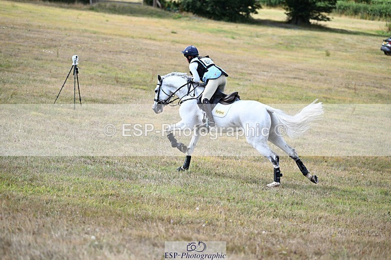 250803A-155010-16399 - O-685-Kitty.King-COOLEY.HOT.SOCKS