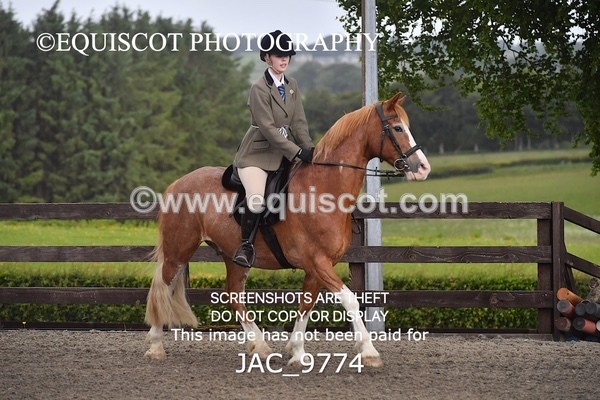 JAC_9774 - CLASS 2 Novice Working Hunter (0.60m - 0.70m)