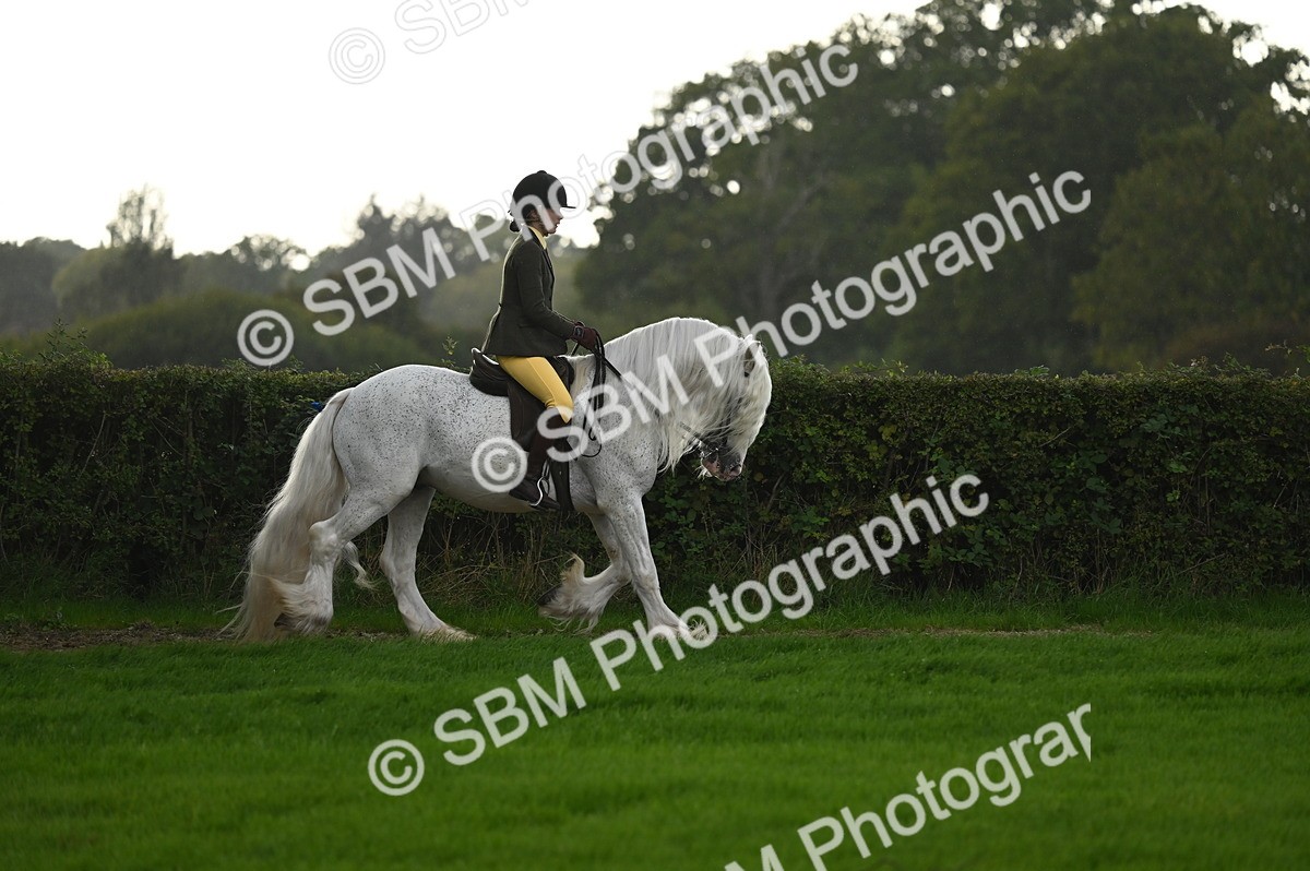 SBM_26584 - S7 - Novice & Newcomer Ridden Pony