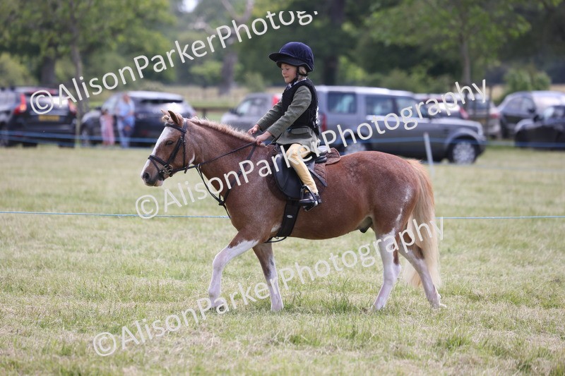 20260614-2112 - Class 21 - Novice Working Hunter Pony