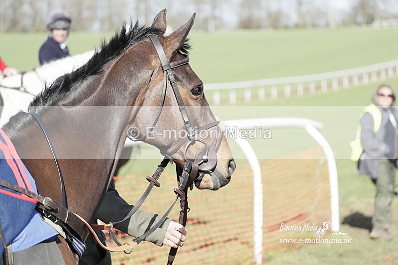 PtP 100423 983 - Old Berkshire Point-to-Point Lockinge 10/04/23