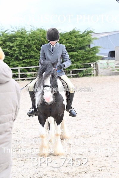 BPP_7452 - RING 1  (RIDDEN HORSES / IN HAND / VETERAN ETC)