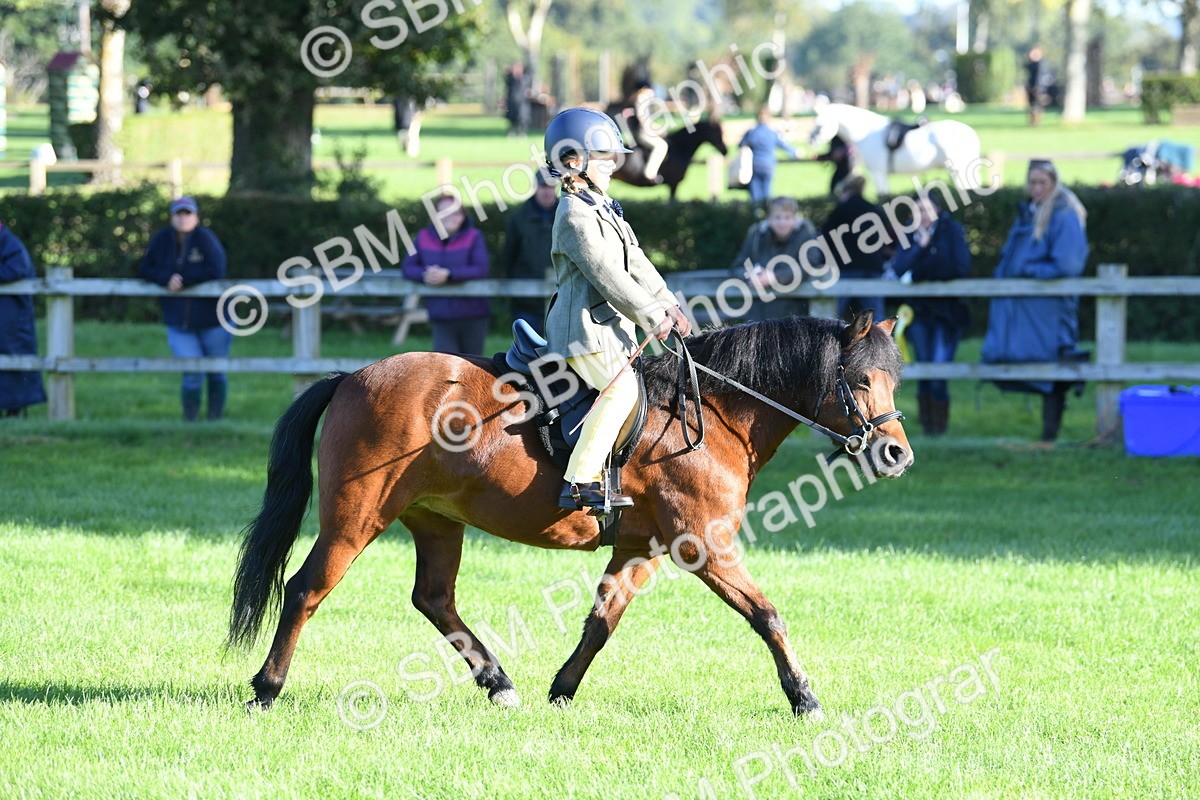 SBM_34014 - S16 - Condition & Turnout - Ridden