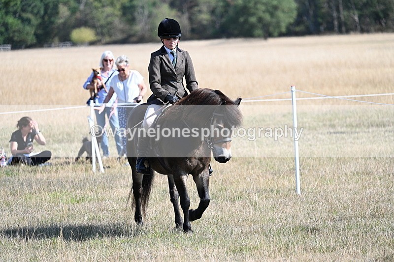 WJ7_3085 - Class 8 Ridden Tack & Turnout