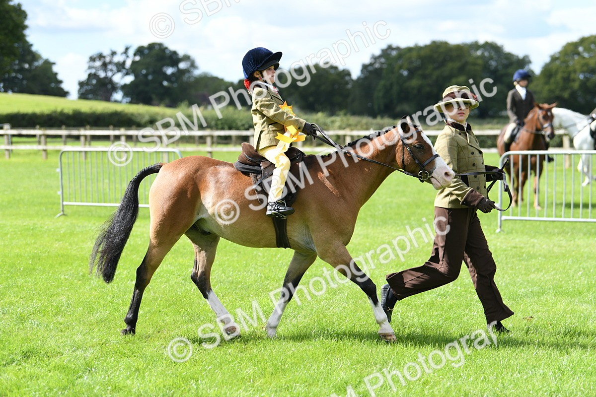 SBM_41288 - S19 - Lead Rein Show & Show Hunter Pony