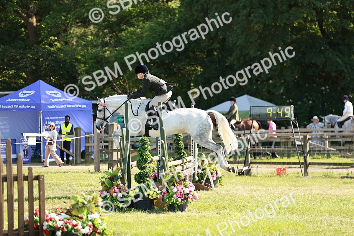 SBM_19211 - Class 115-116 - LIHS BSHA Rising Star Working Hunter & Show Horse