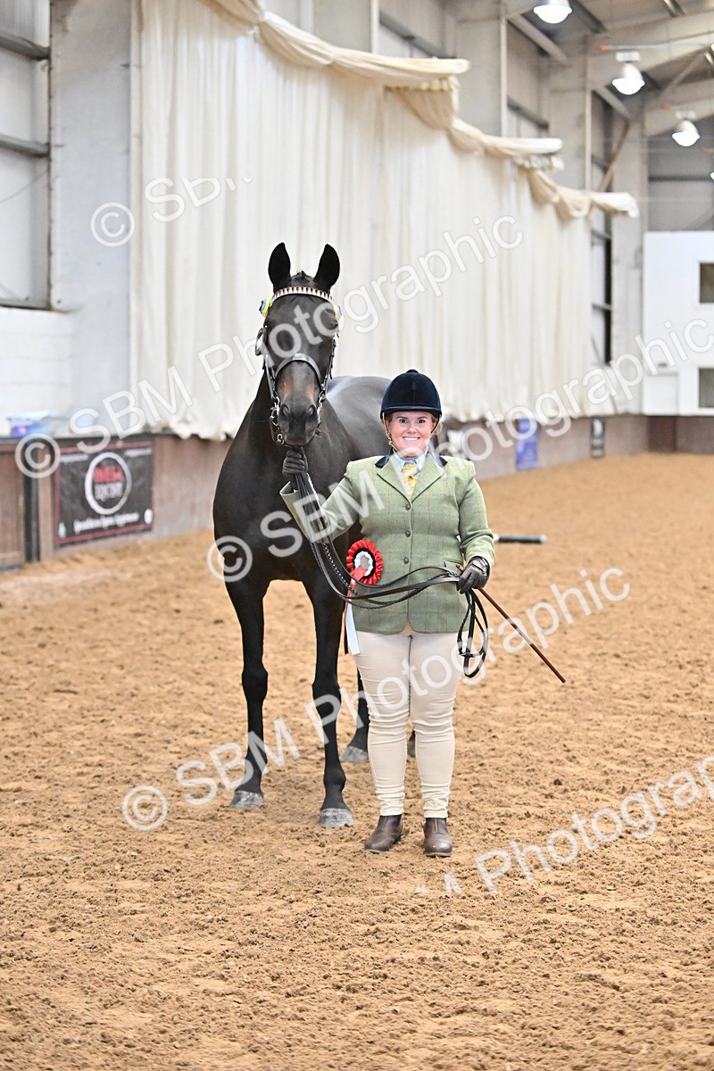 SBM_000155 - Class 6 - BSHA In Hand Racehorse to Show Horse