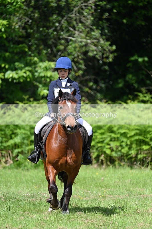 WJ7_1185 - Class 11 Condition & Turnout