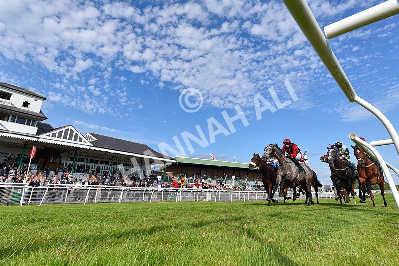 100625-Race 3-Stellarmasterpiece-4097 - Race 3