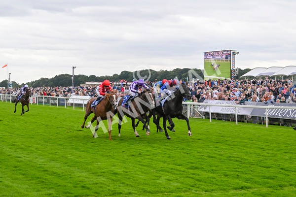 210824-Race 3-Los Angeles-4887 - Race 3 3.00pm Sky Bet Great Voltigeur Stakes