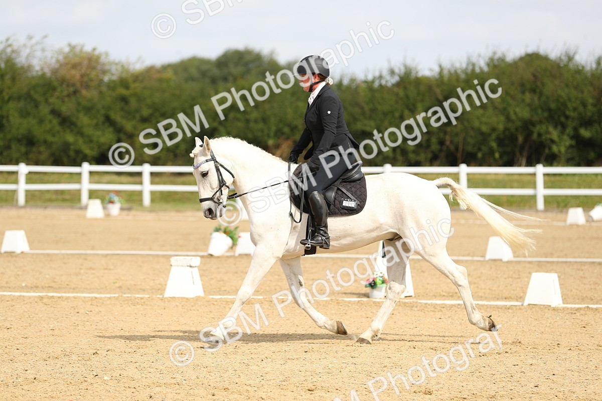 SBM_016317 - Class 13 - Novice 23 - 11.25-12.35