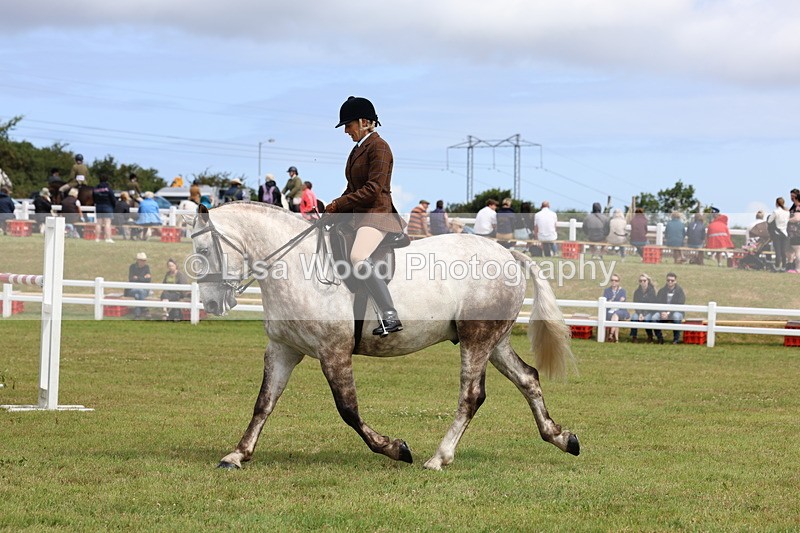 3E7A0268 - Class 6: Rising Star Maxi Cobs