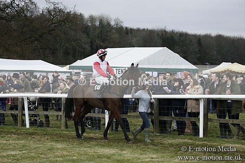 PtP 110318 107 - Hampshire Hunt Point-to-Point Hackwood Park 11/03/18