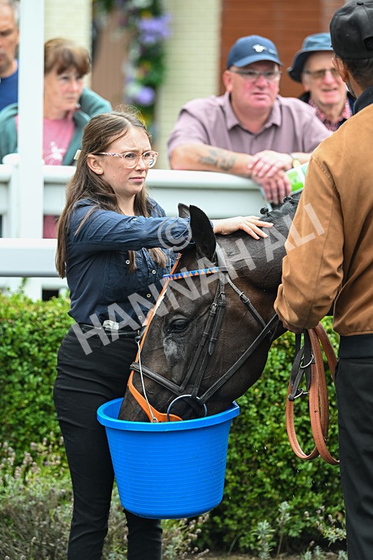 180825-Race 2-Demetrius-8451 - Race 2