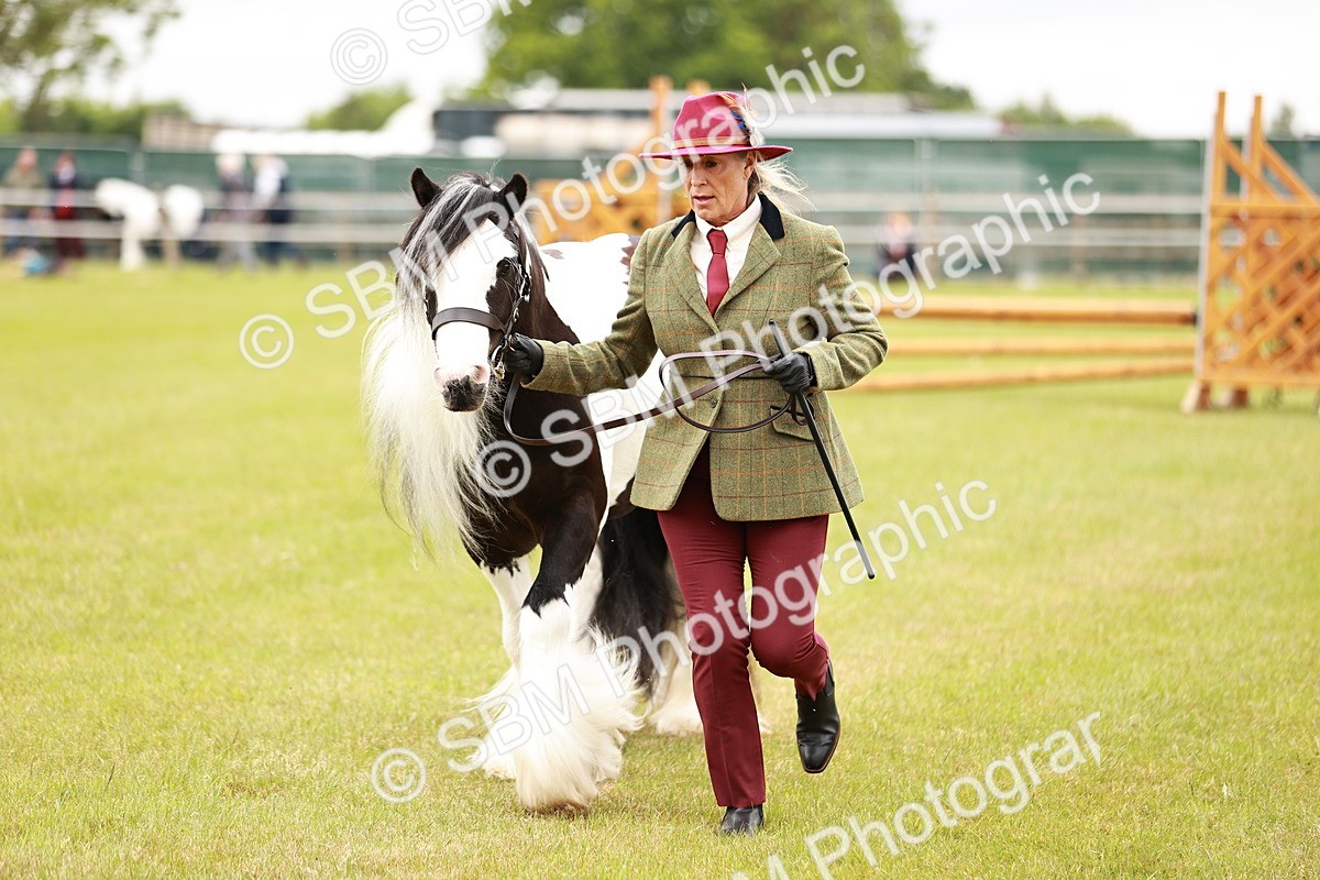 SBM_06054 - Class 39-41 TGCA In Hand and Ridden