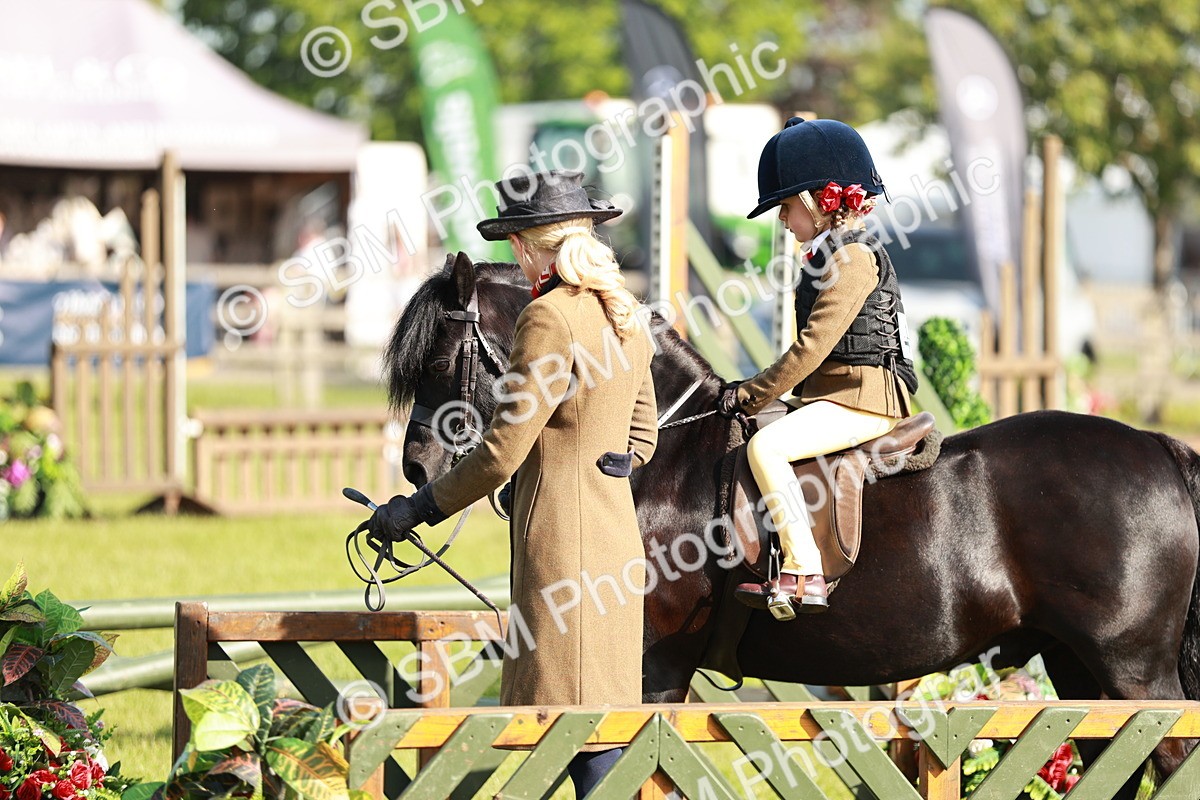 SBM_11273 - Class 106-107 - BSPS LIHS Working Sports Pony