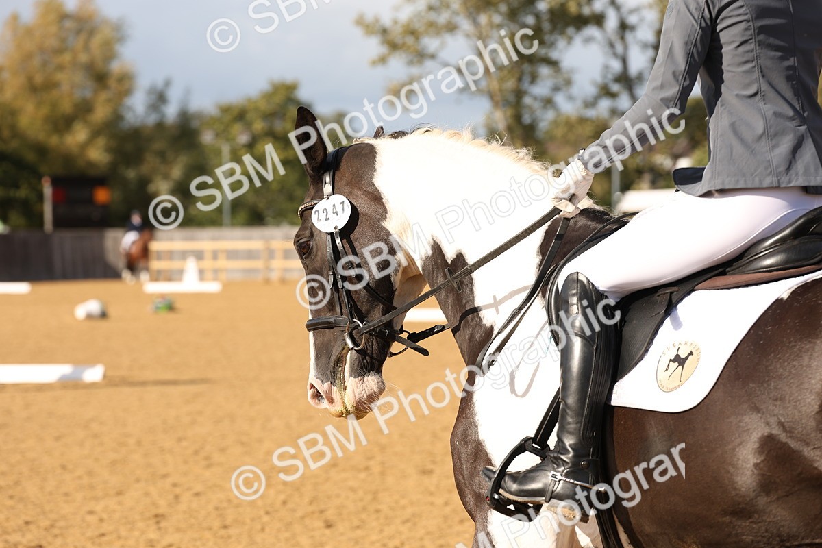 SBM_26985 - D17 - Grand Tour Championship Novice 3