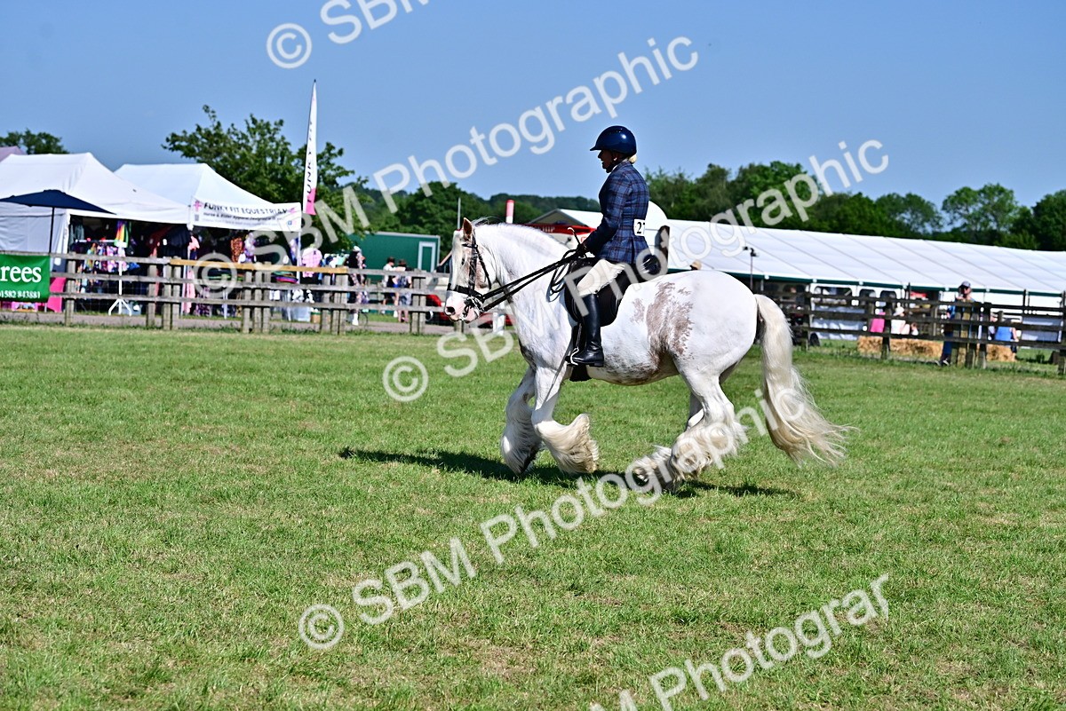 SBM_19370 - Class 101-102 - BSPS LIHS Performance Coloured Horse/Pony