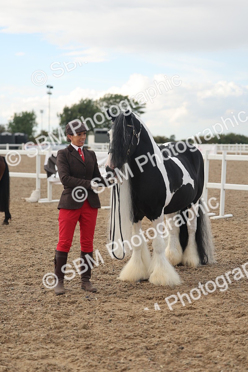 SBM_08562 - Class 29 - IH Veteran Pony