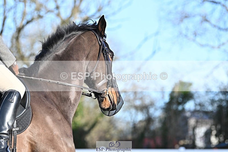 250125-094343-00096 - Dressage - CT Class 3 BE92