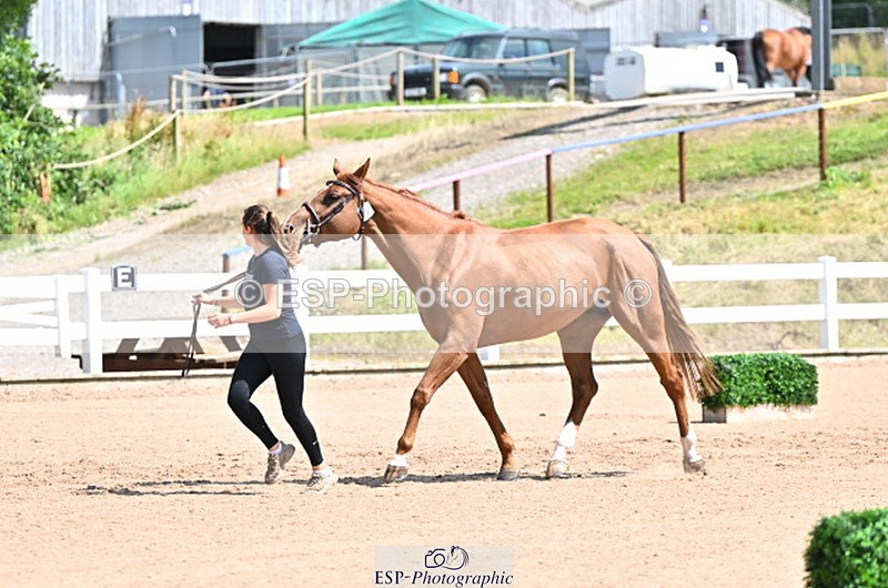240718A-105245-01121 - Trot Up 12pm to 1pm
