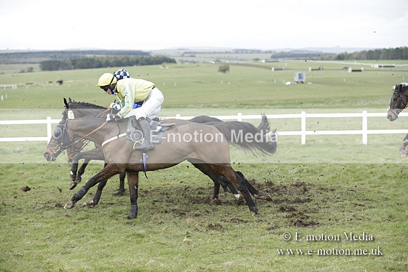 PtP 150320 0685 - New Forest Point-to-Point Larkhill 15/03/20