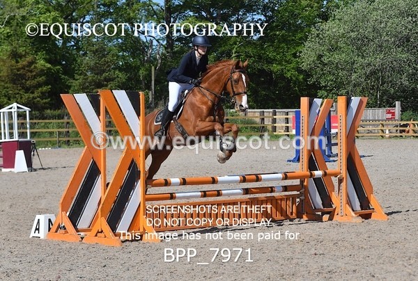 BPP_7971 - CLASS 2 Club/ Unaffiliated 80cms Open