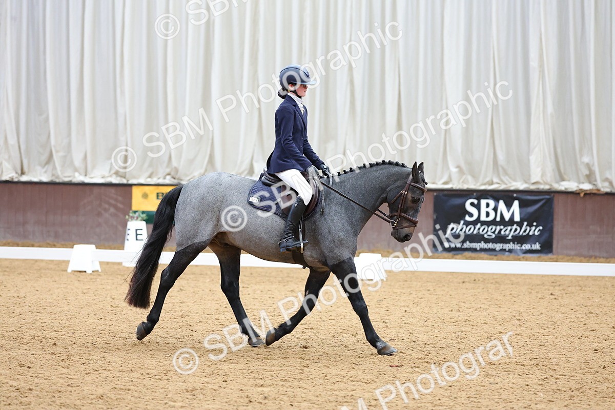 SBM_002596 - Novice